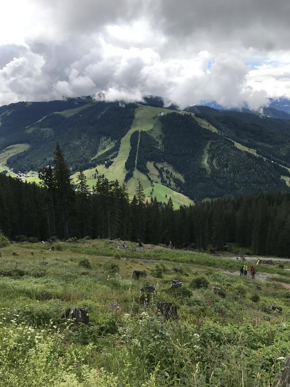 Wachtelhof Apartment Maria Alm am Steinernen Meer Zewnętrze zdjęcie