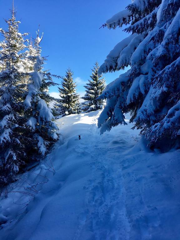 Wachtelhof Apartment Maria Alm am Steinernen Meer Zewnętrze zdjęcie